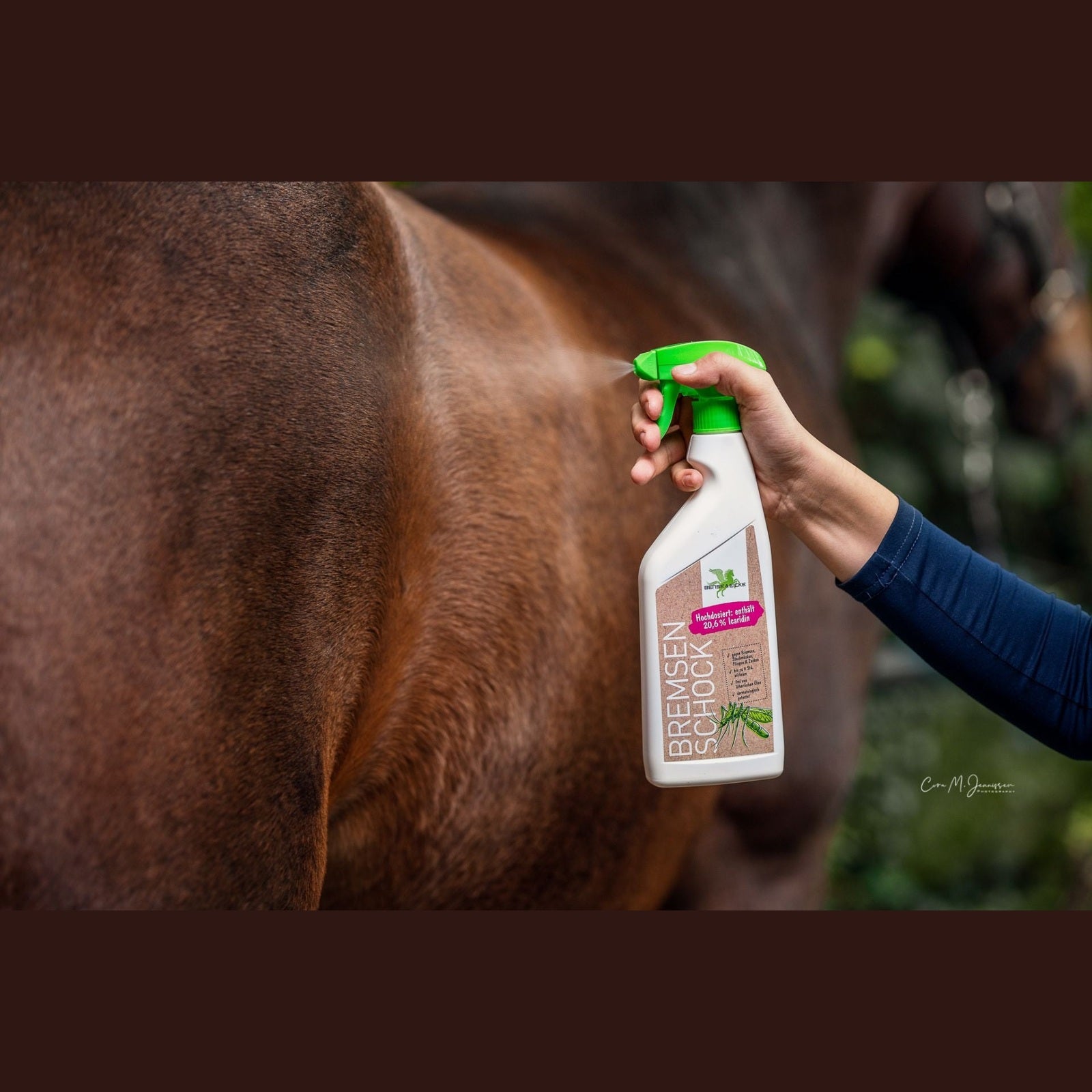 Bense & Eicke BremsenSchock sp-reitsport