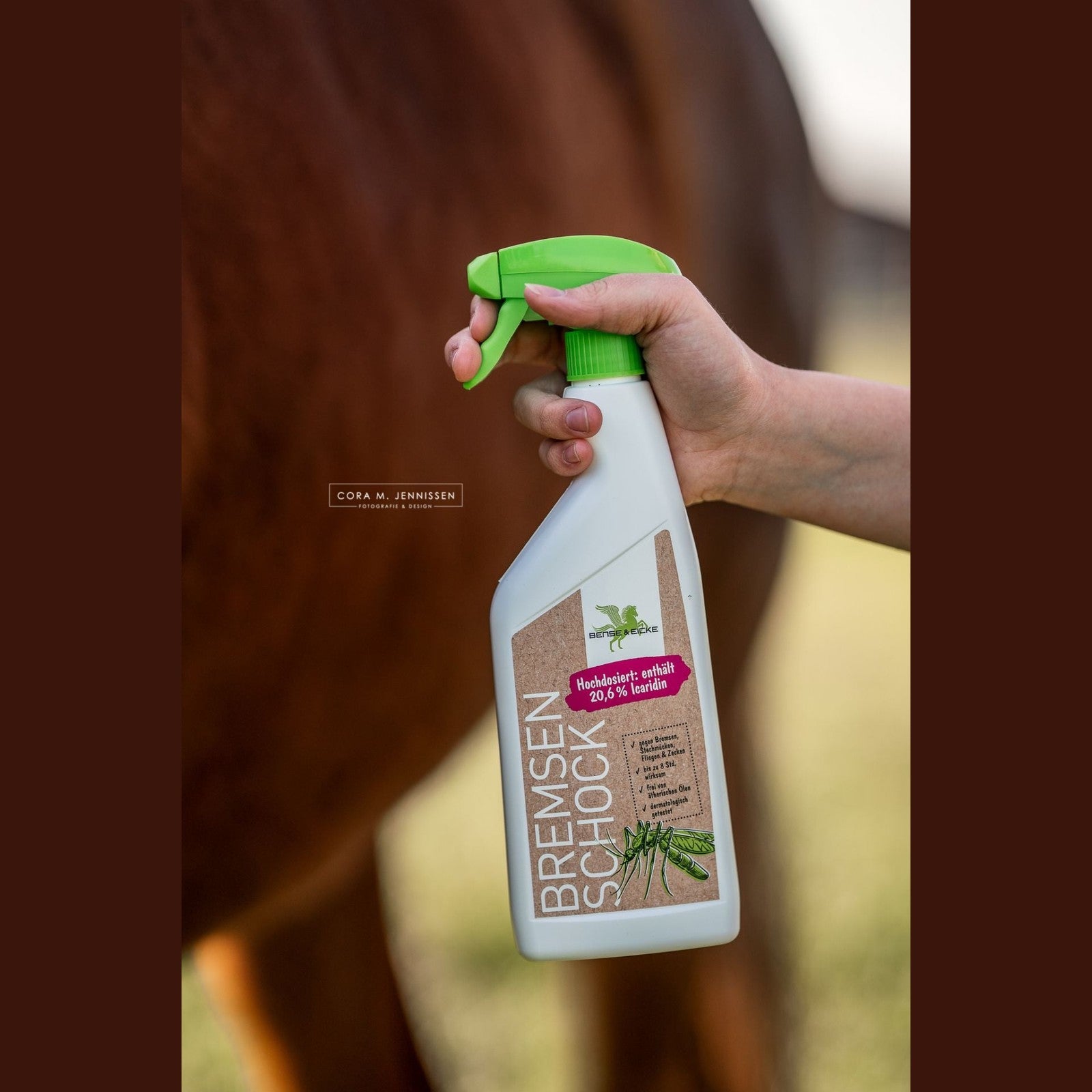 Bense & Eicke BremsenSchock sp-reitsport