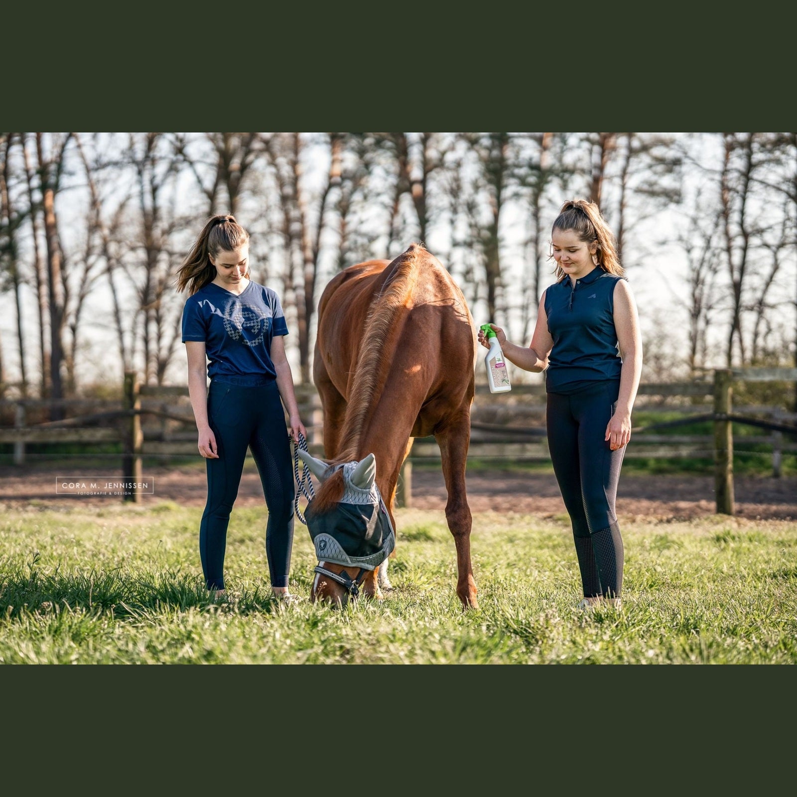 Bense & Eicke BremsenSchock sp-reitsport