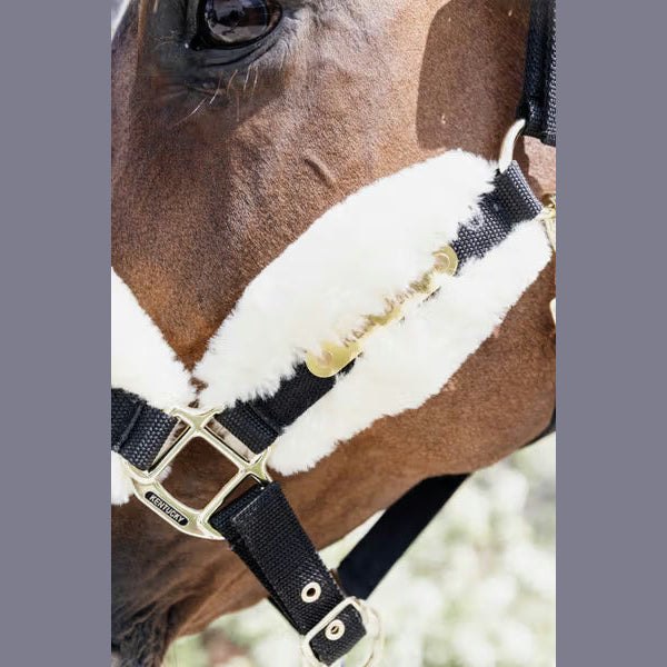 Kentucky Nylon Lamfell Halfter Soft sp-reitsport