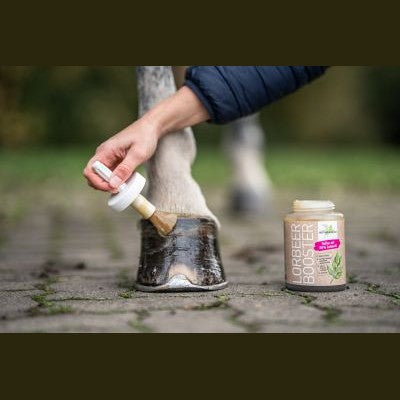 Bense & Eicke LorbeerBooster 450 ml