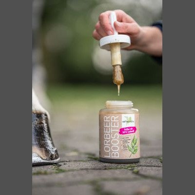 Bense & Eicke LorbeerBooster 450 ml