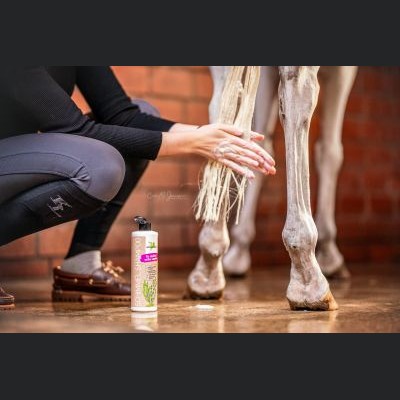 Bense & Eicke Schimmel Shampoo