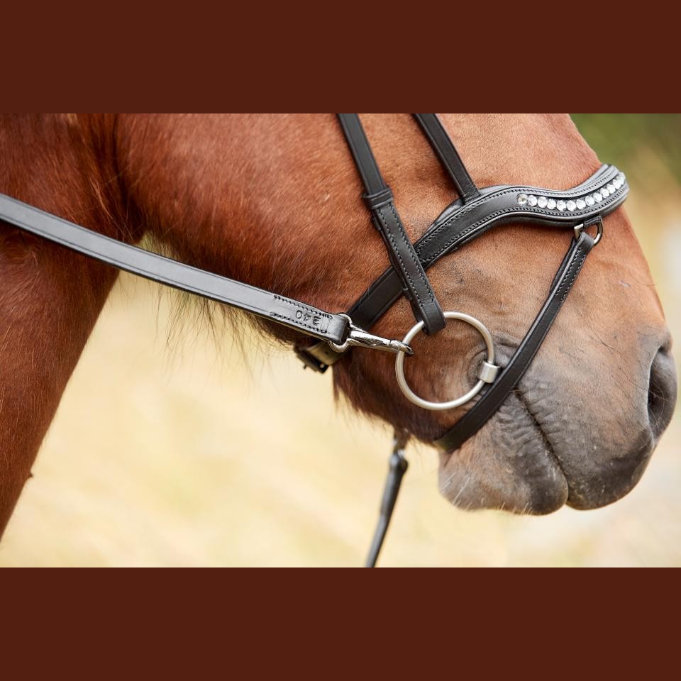 CATAGO Anatomische Islandtrense Raja mit Strass sp-reitsport