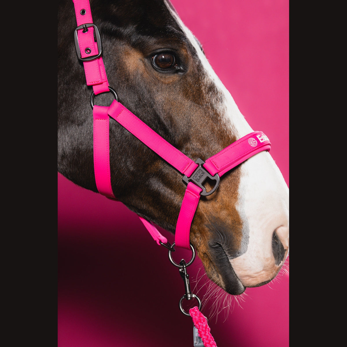ESKADRON DYNAMIC 26 Halfter >SOFTSHELL DOUBLE PIN< lipstick / pink
