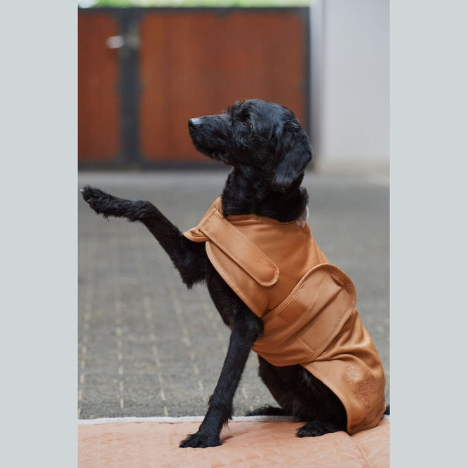 ESKADRON Platinum 23/24 Hundemantel / Hundedecke cognac bei SP-Reitsport
