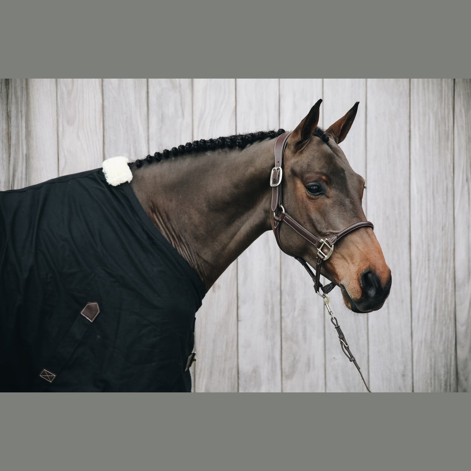 KENTUCKY HORSEWARE Lederhalfter "ANATOMIC" braun