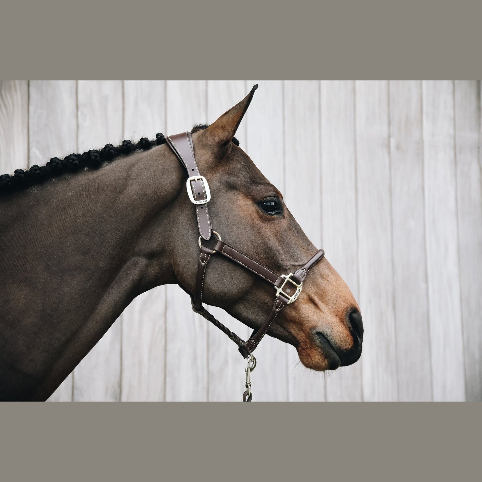 KENTUCKY HORSEWARE Lederhalfter "ANATOMIC" braun