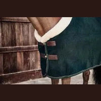 Kentucky Fleece show rug "heavy"