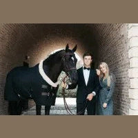 Kentucky Show Rug