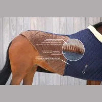 Kentucky Show Rug