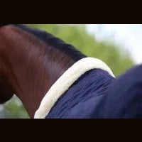 Kentucky Show Rug