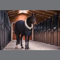 Kentucky Show Rug