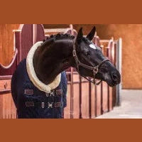 Kentucky Show Rug