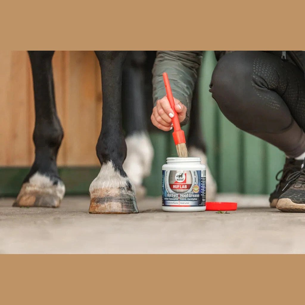 leovet Hufpflege HUFLAB Huf Fett Lorbeer - Eukalyptus bei SP-Reitsport sp-reitsport