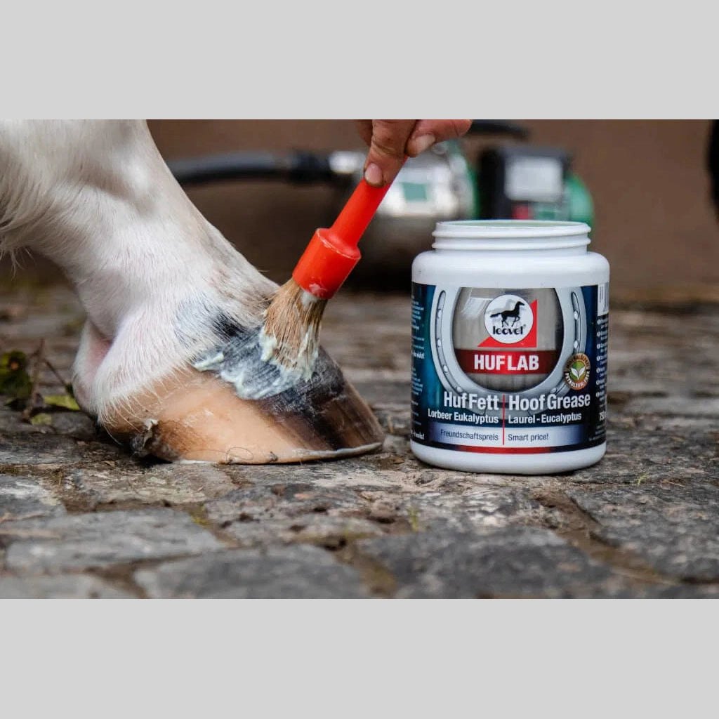 leovet Hufpflege HUFLAB Huf Fett Lorbeer - Eukalyptus bei SP-Reitsport sp-reitsport