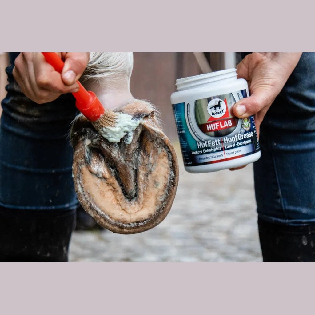 leovet Hufpflege HUFLAB Huf Fett Lorbeer - Eukalyptus bei SP-Reitsport sp-reitsport