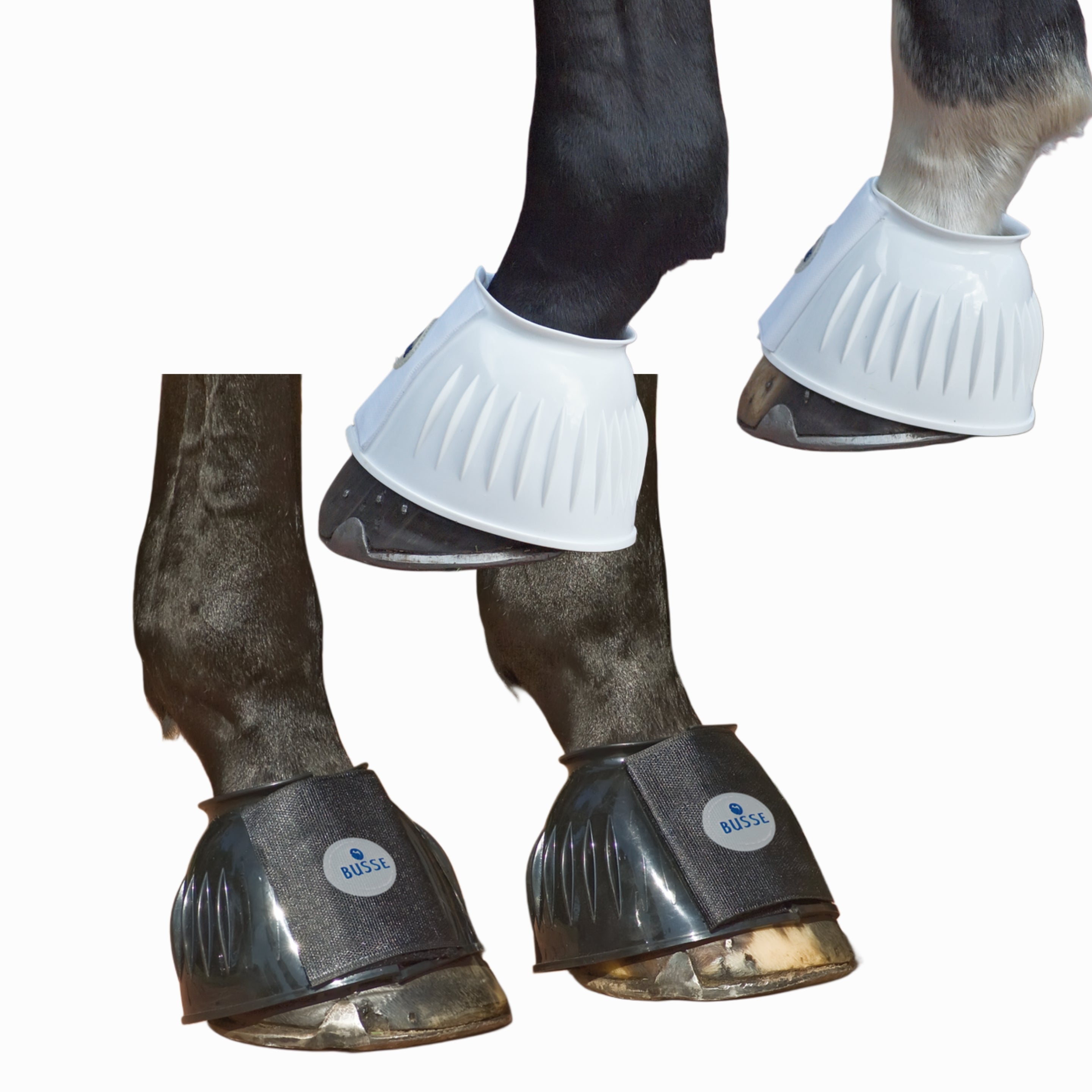 BUSSE besonders stabile Gummi Hufglocken STURDY Doppelklett Verschluss bei SP-Reitsport