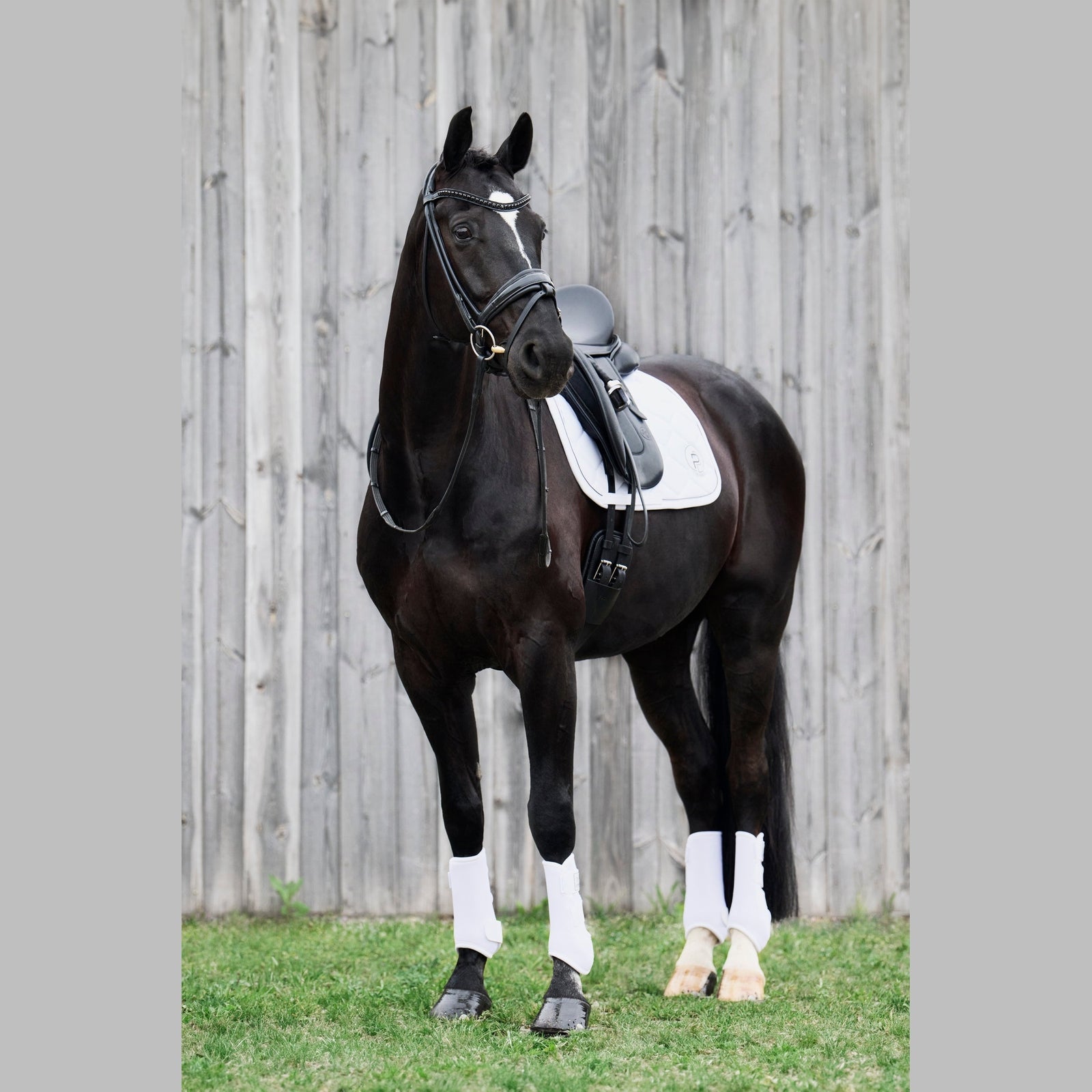 Eskadron Gamaschen PRO DRESSAGE HINTEN Classic Sports 25 S/S