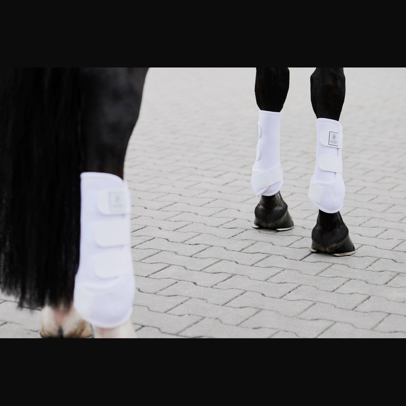 Eskadron Gamaschen PRO DRESSAGE HINTEN Classic Sports 25 S/S