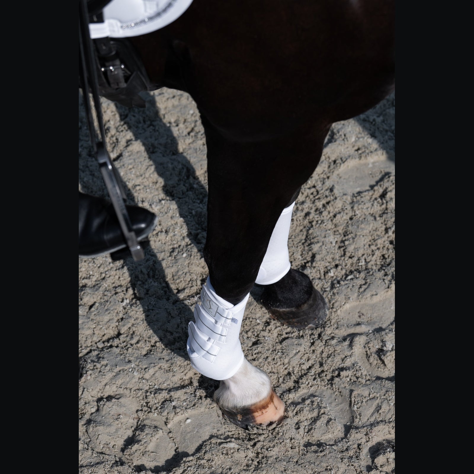 Eskadron Gamaschen PRO DRESSAGE HINTEN Classic Sports 25 S/S
