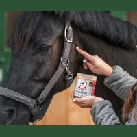 leovet ERSTE HILFE Propolis Gel bei SP-Reitsport