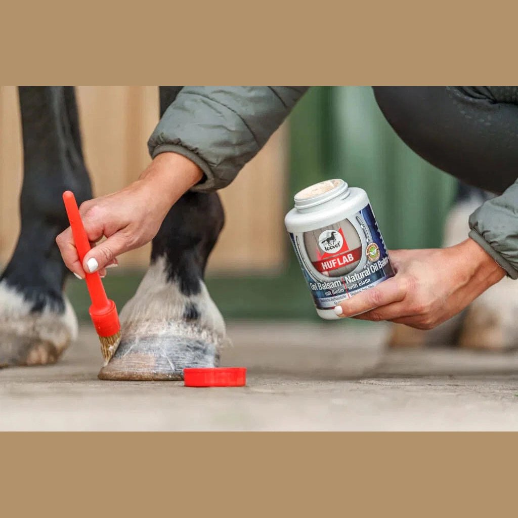 leovet Hufpflege HUFLAB Oel Balsam mit Biotin bei SP-Reitsport sp-reitsport