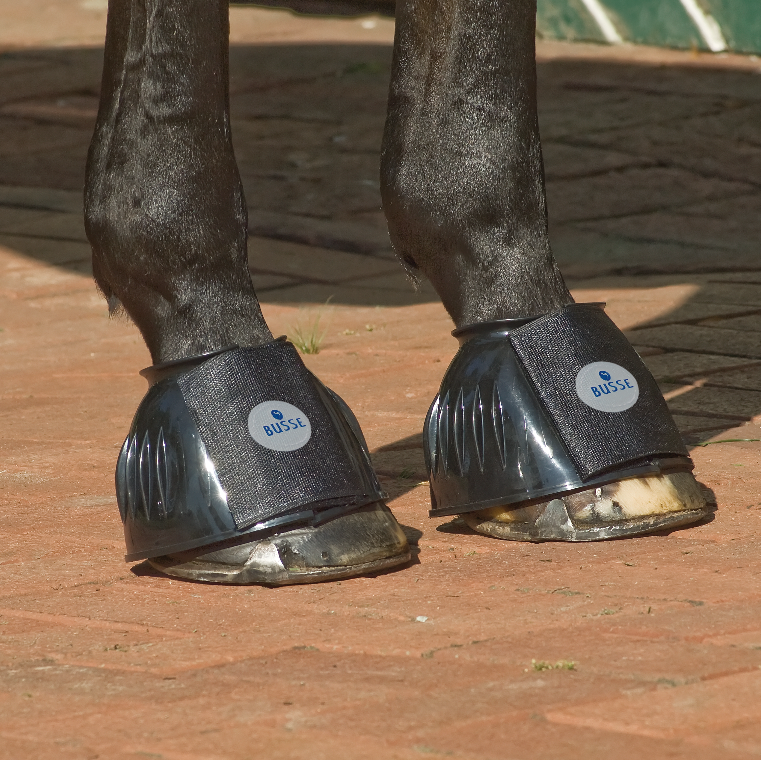 BUSSE besonders stabile Gummi Hufglocken STURDY Doppelklett Verschluss bei SP-Reitsport