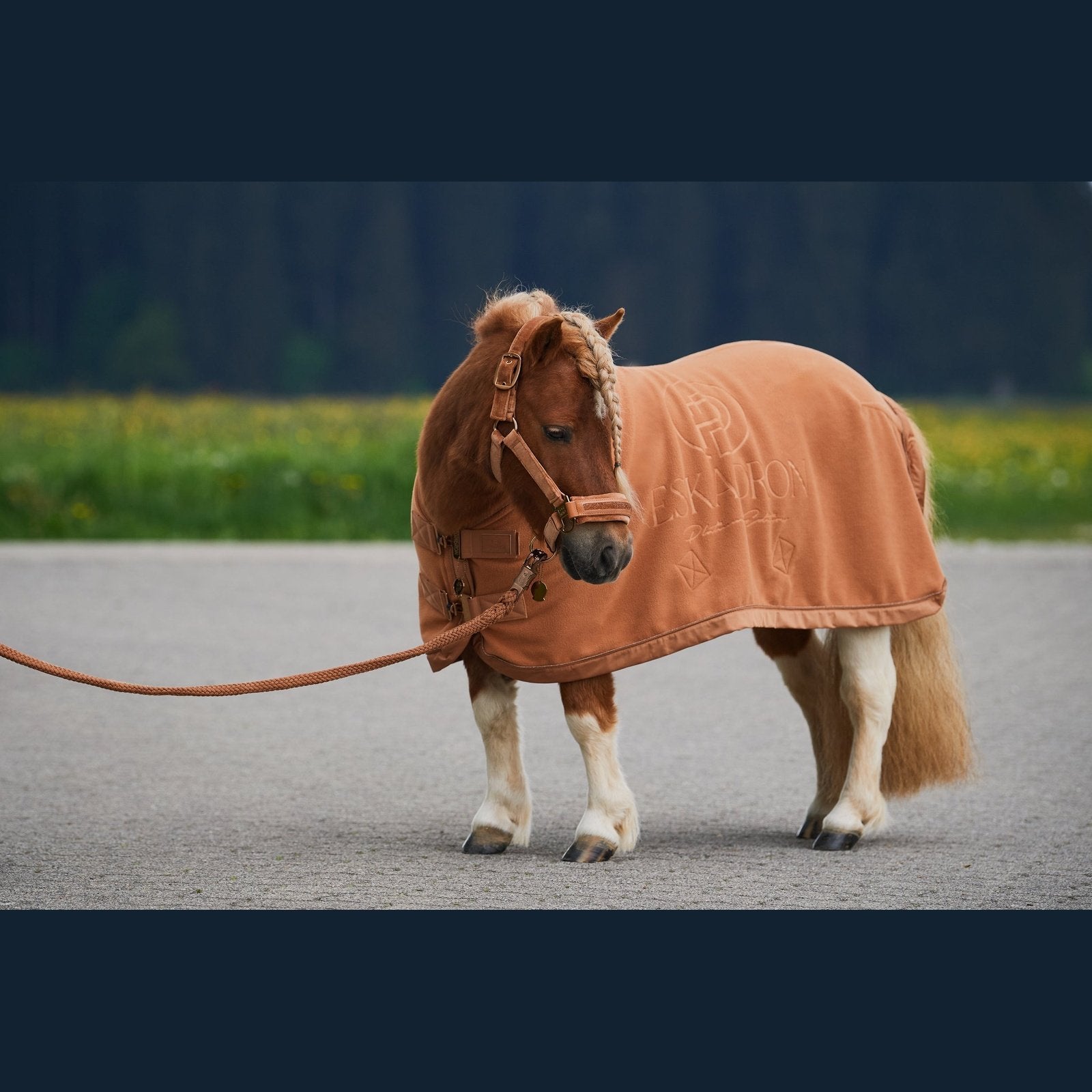 ESKADRON Platinun 23/24 Abschwitzdecke FLEECE STAMP Shetty/Pony black/schwarz bei SP-Reitsport