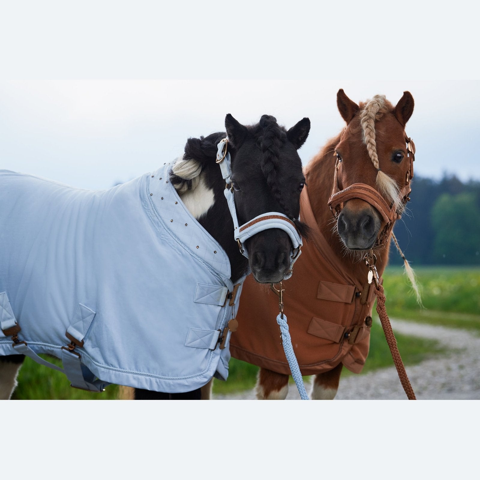 ESKADRON Platinun 23/24 Abschwitzdecke VELVET CRYSTAL Shetty/Pony black/schwarz bei SP-Reitsport
