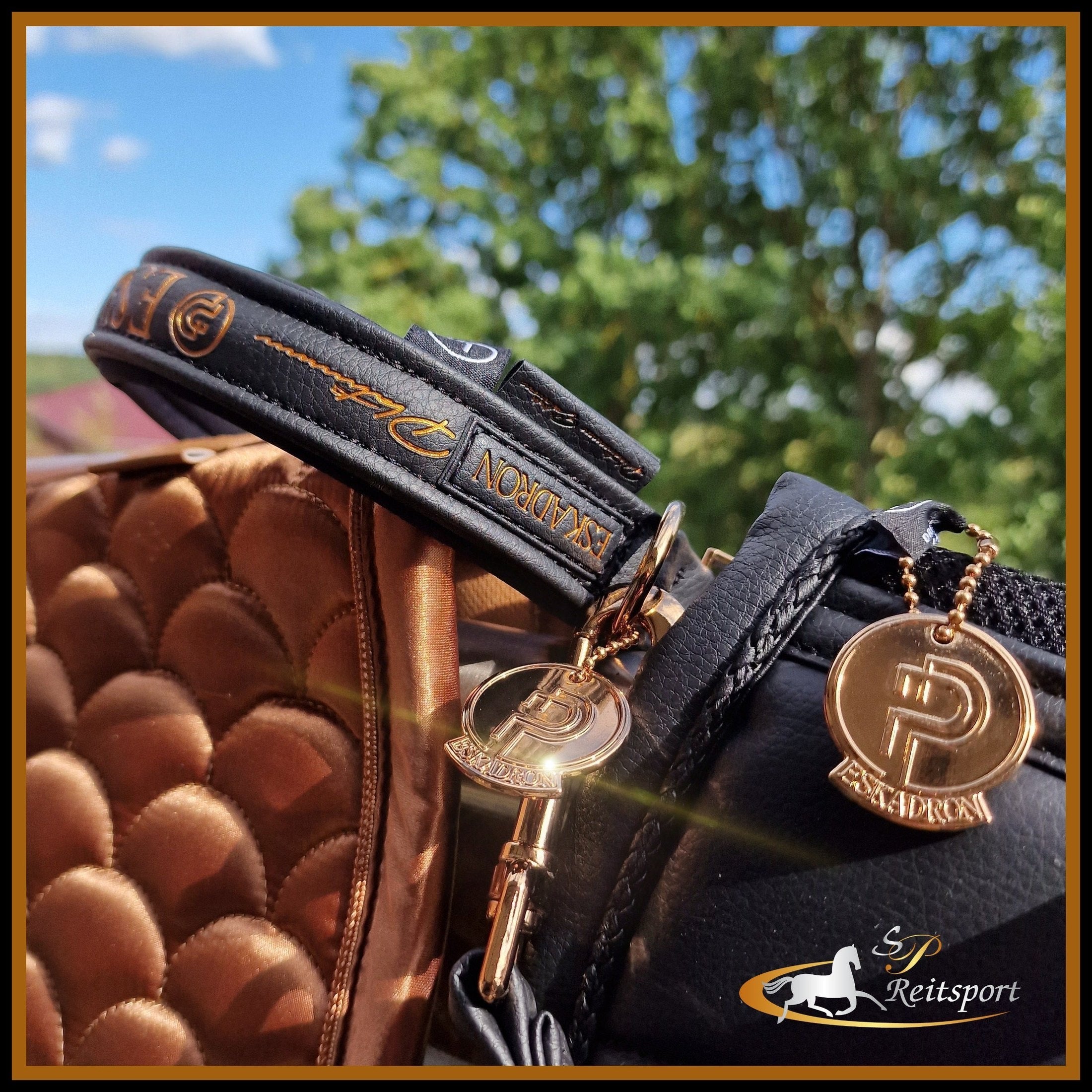 ESKADRON Platinum 23/24 Hundeset Hunde-Halsband & Leine black/schwarz bei SP-Reitsport sp-reitsport