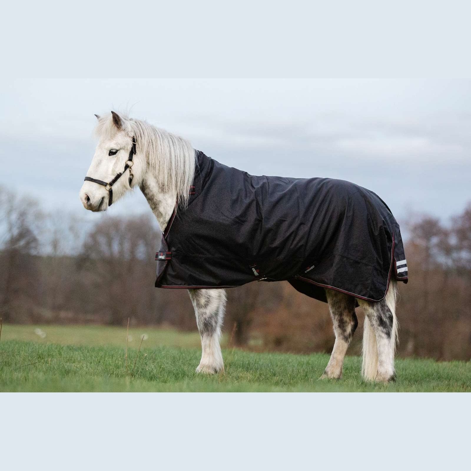 CATAGO Dual Pro Isländer Outdoordecke/ Weidedecke 0/100g Schwarz in 125 & 135cm sp-reitsport