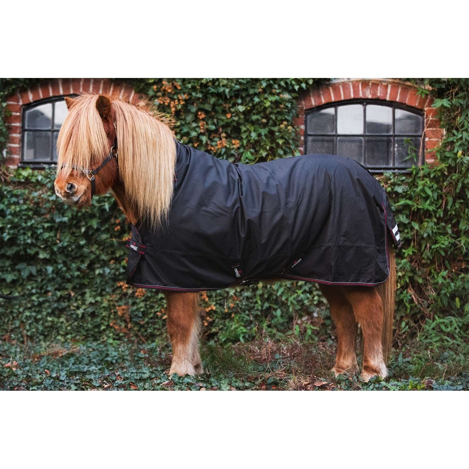 CATAGO Dual Pro Isländer Outdoordecke/ Weidedecke 0/100g Schwarz in 125 & 135cm sp-reitsport