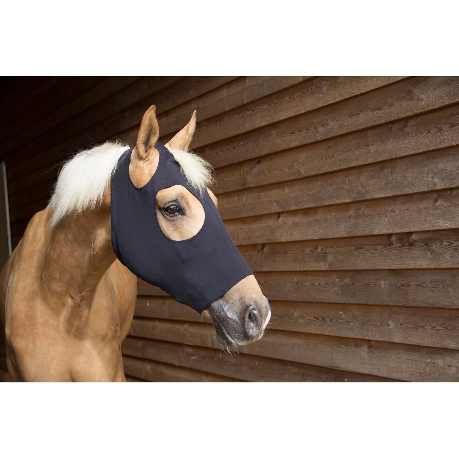 CATAGO FIR-Tech Maske CATAGO bei SP-Reitsport