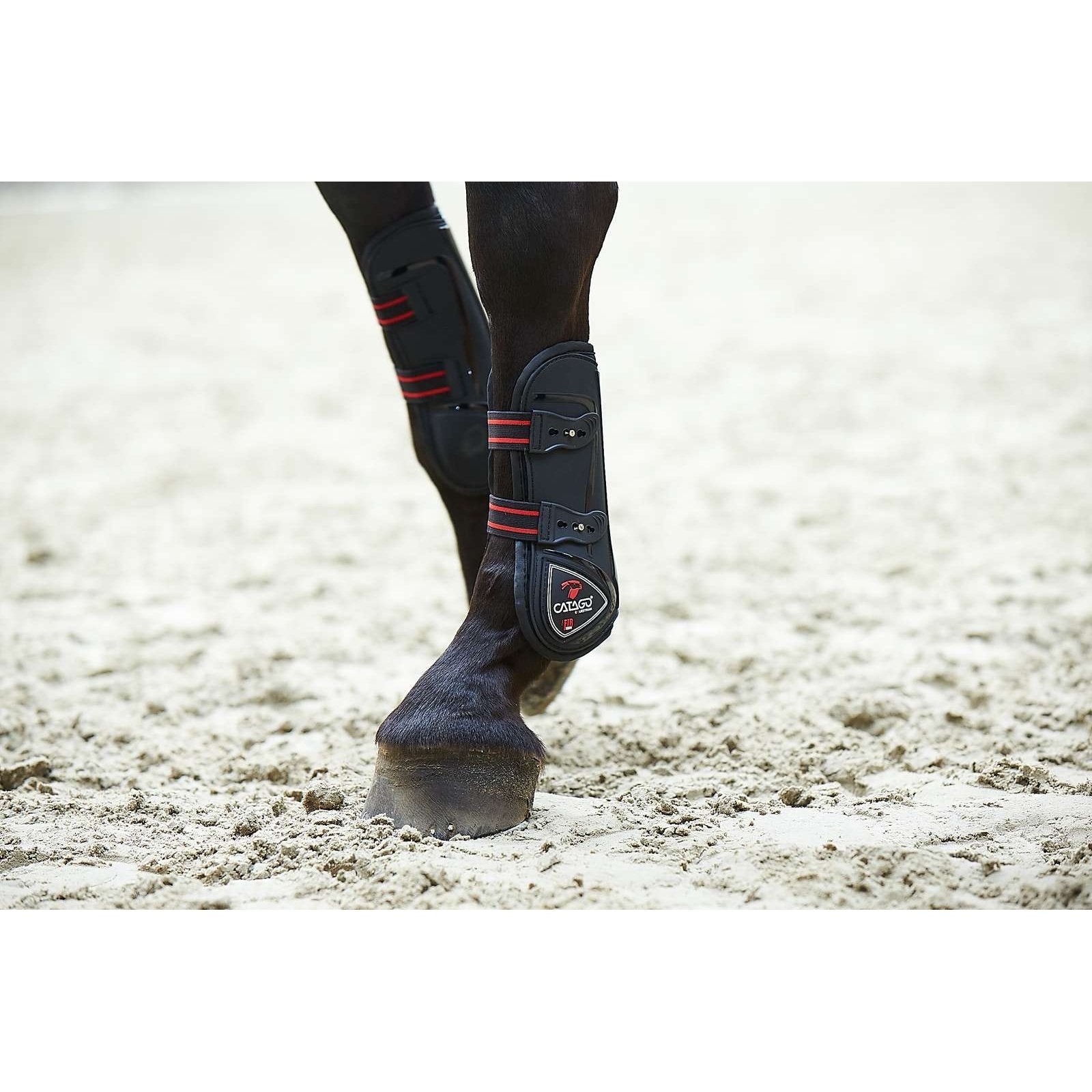 CATAGO FIR-Tech Spring Gamasche 2in1 schwarz & navy Gr.: Pony , Vollblut/Warmblut CATAGO bei SP-Reitsport