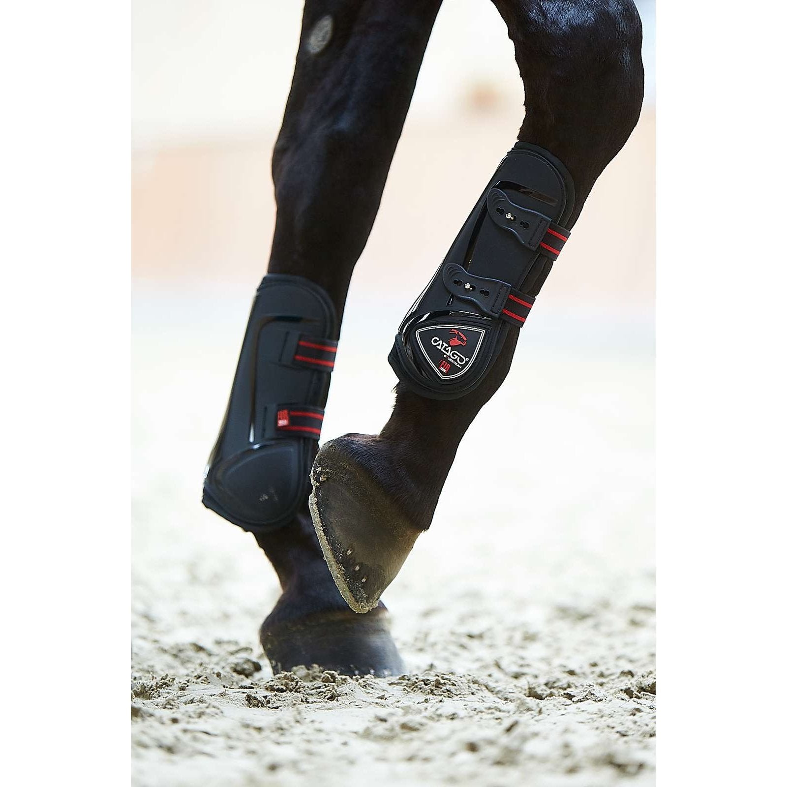 CATAGO FIR-Tech Spring Gamasche 2in1 schwarz & navy Gr.: Pony , Vollblut/Warmblut CATAGO bei SP-Reitsport