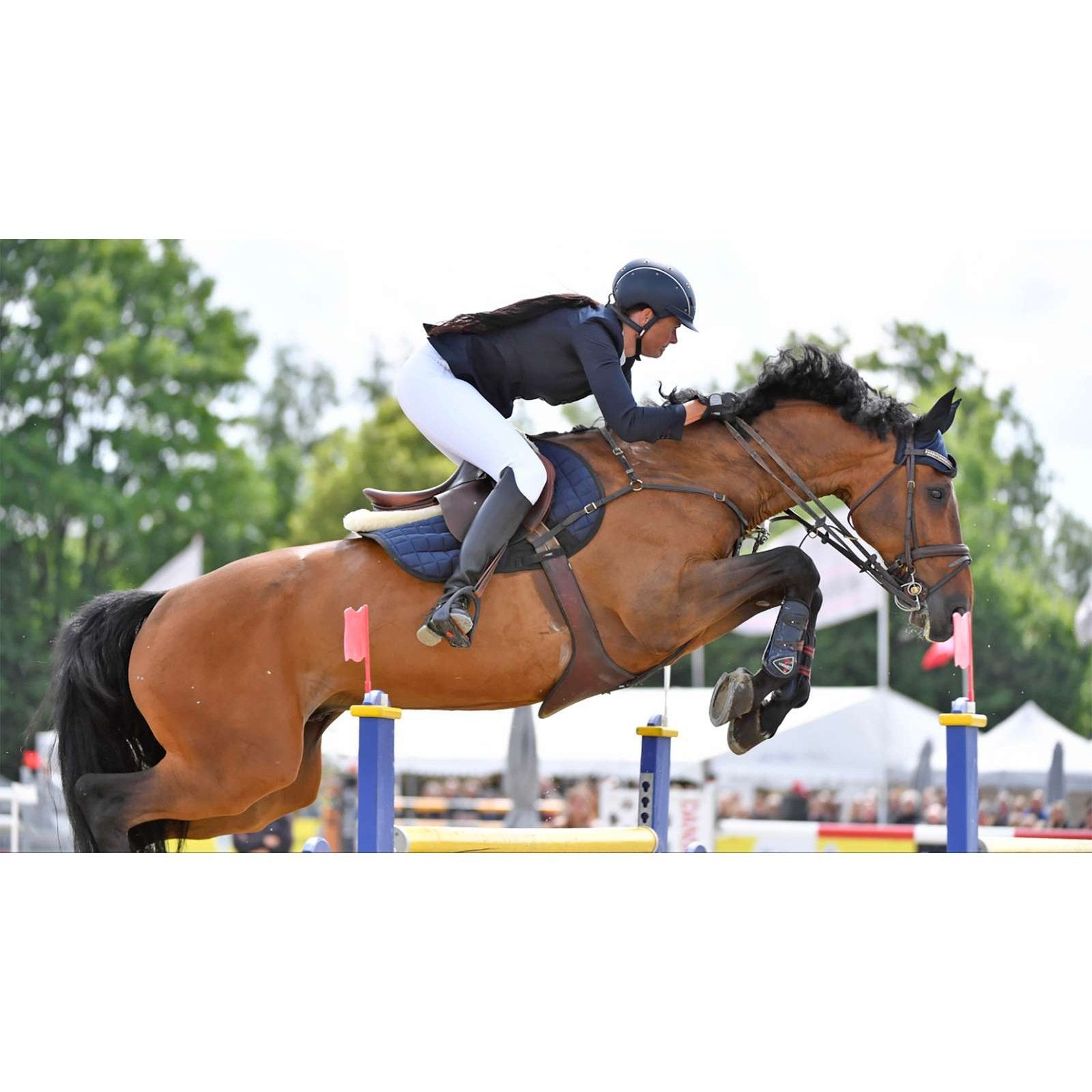 CATAGO FIR-Tech Spring Gamasche 2in1 schwarz & navy Gr.: Pony , Vollblut/Warmblut CATAGO bei SP-Reitsport