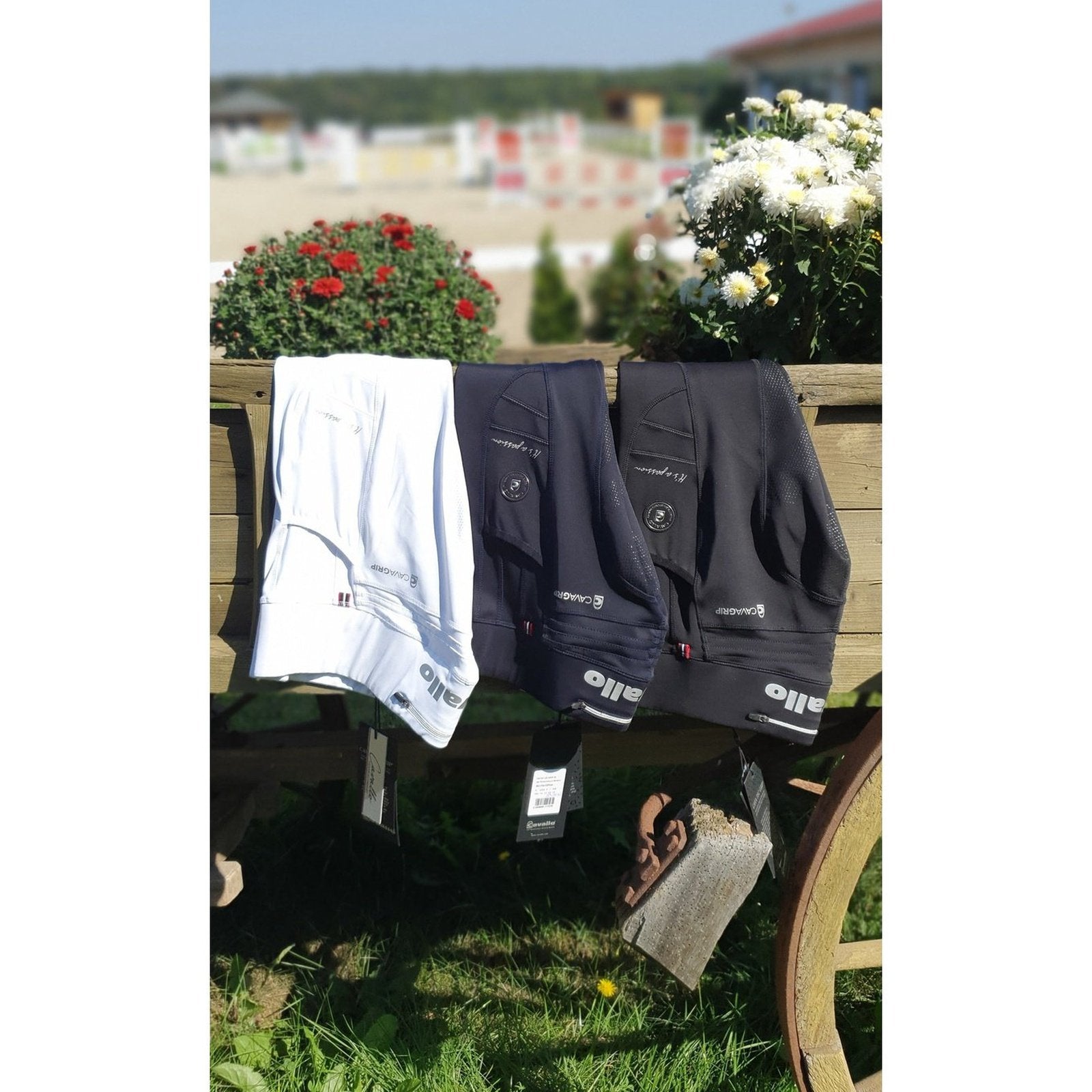 CAVALLO Reitleggings LIN Grip Cavallo bei SP-Reitsport