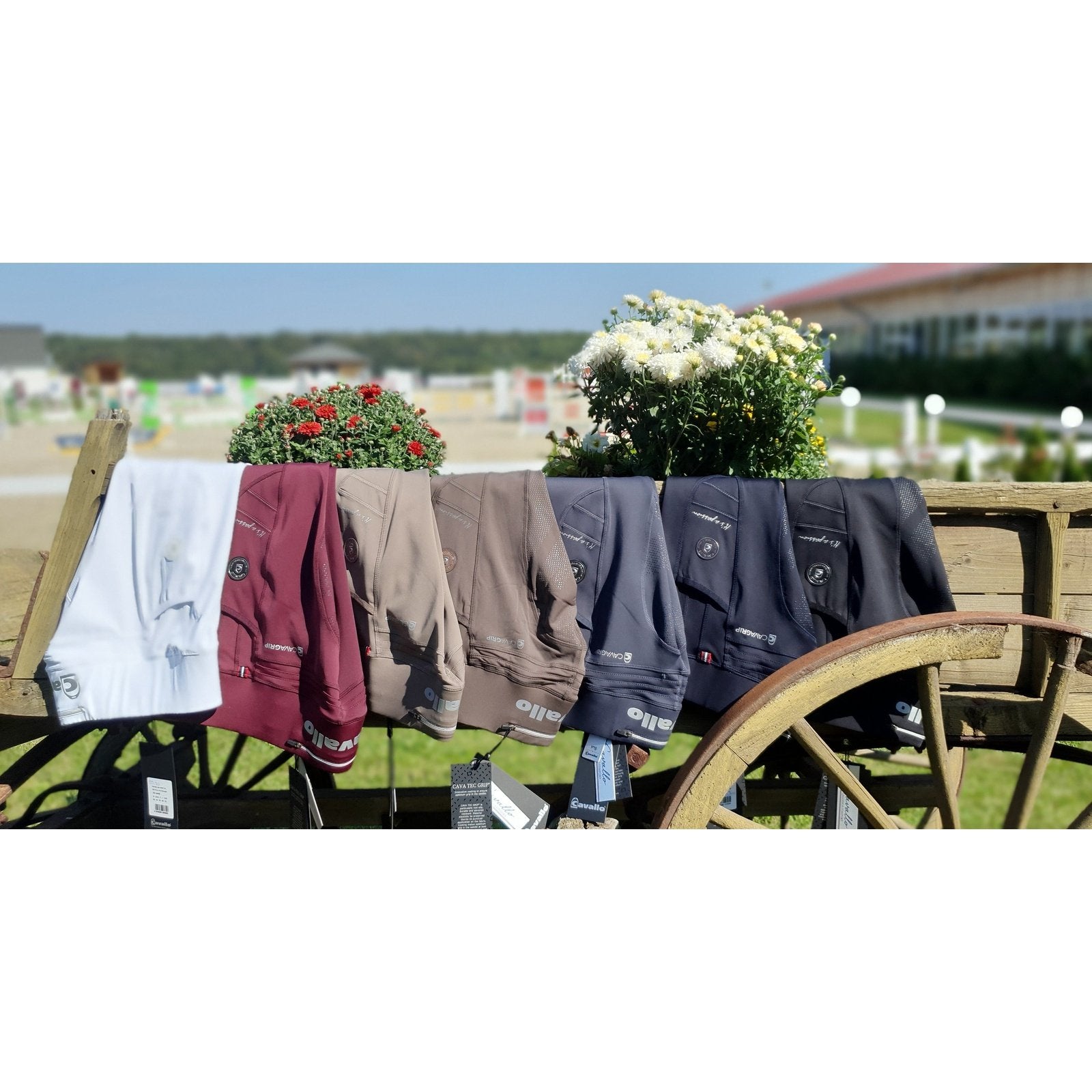 CAVALLO Reitleggings LIN Grip Cavallo bei SP-Reitsport