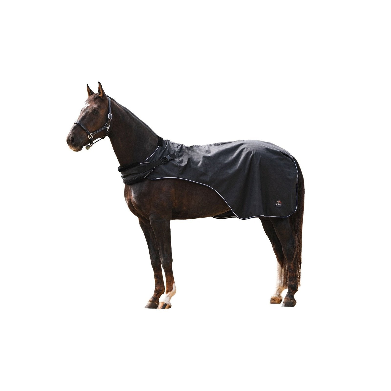 Führanlagendecke -Carvis- HKM bei SP-Reitsport