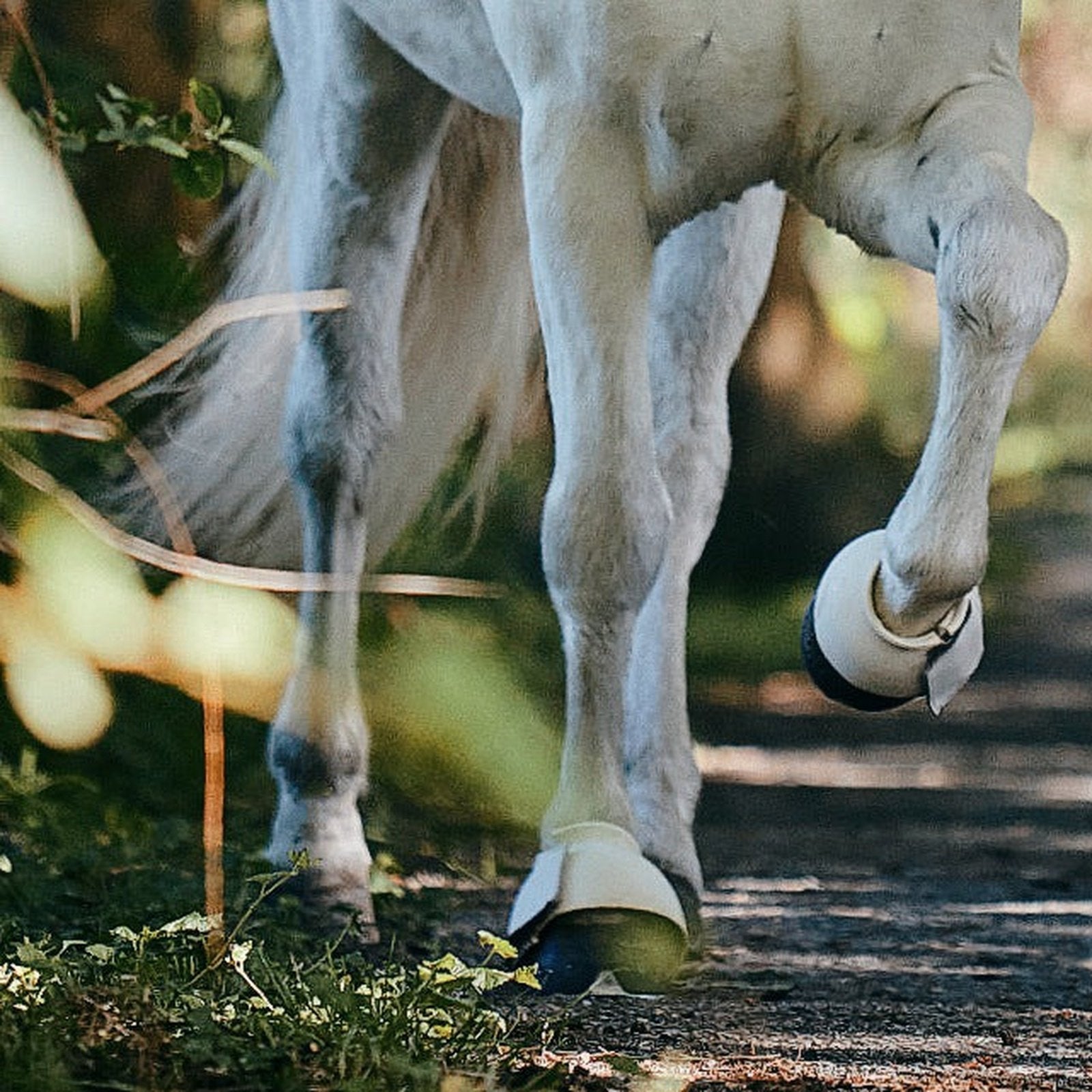 Gewichtsglocken weiß für Isländer 180gr. und 230gr. CATAGO bei SP-Reitsport