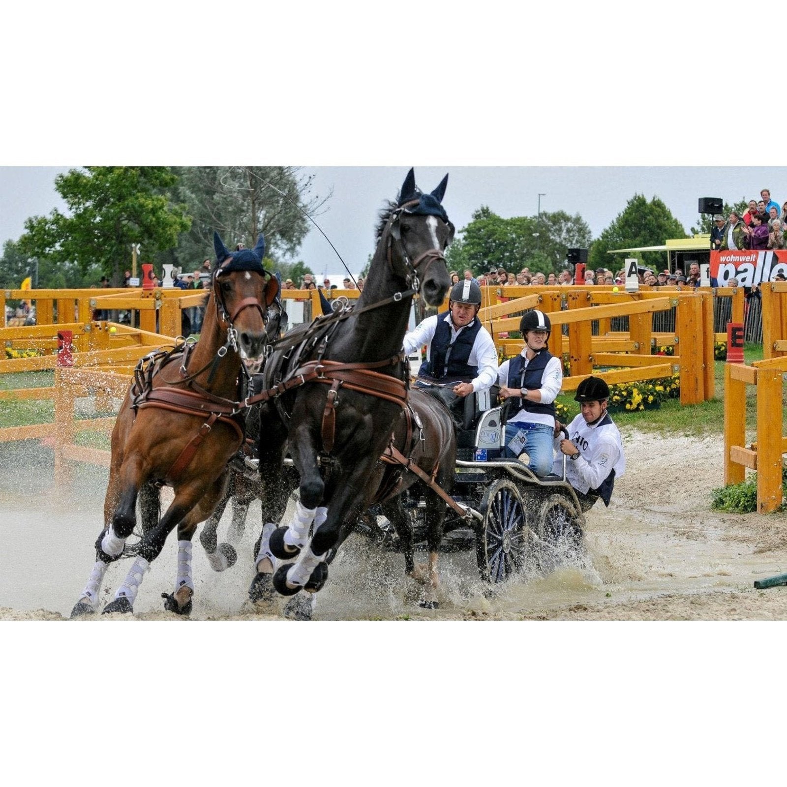 HELITE Reitsport Airjacket für Kinder & Erwachsene bei SP-Reitsport sp-reitsport