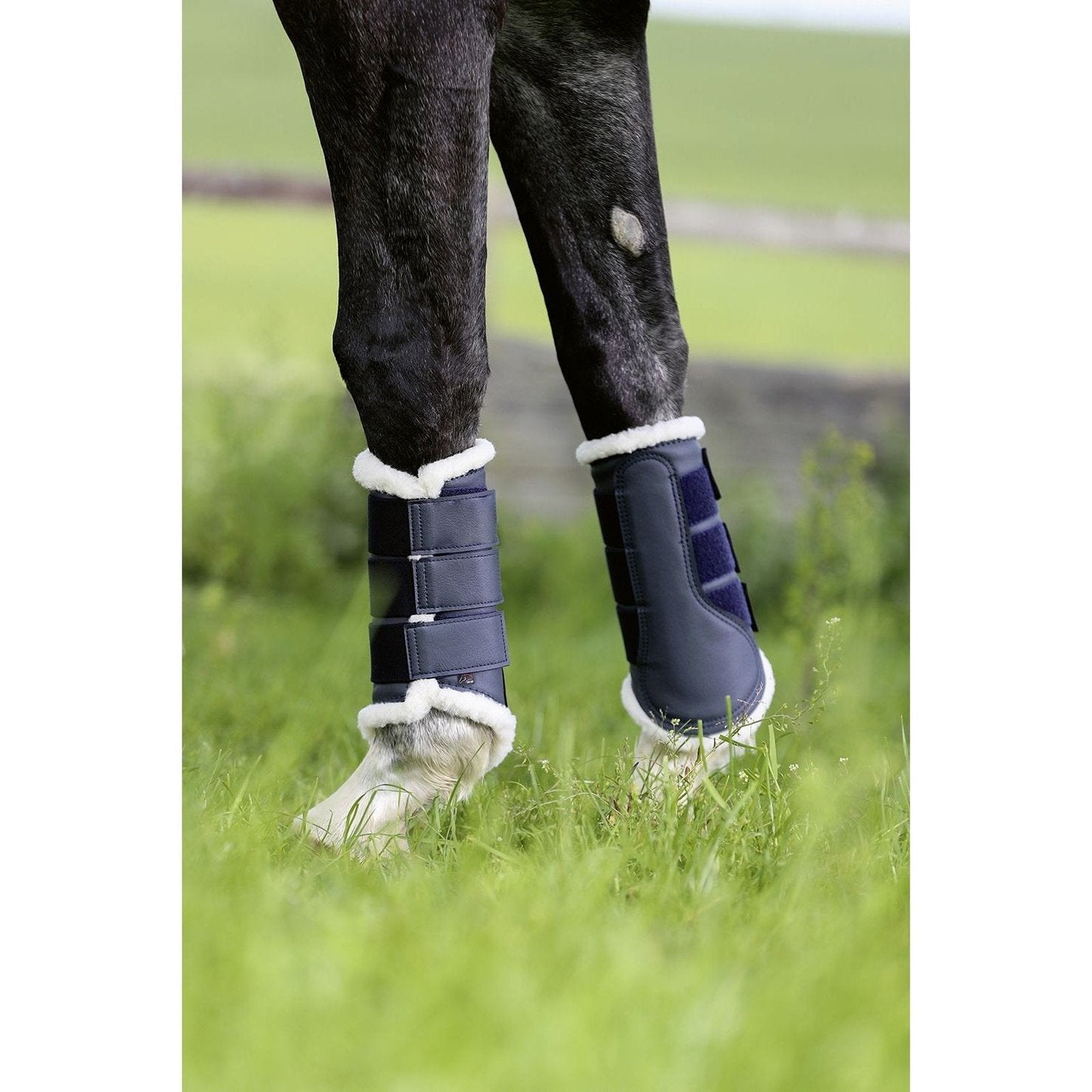 HKM Gamaschen -Comfort- Trainingsgamaschen in vers. Farben HKM bei SP-Reitsport