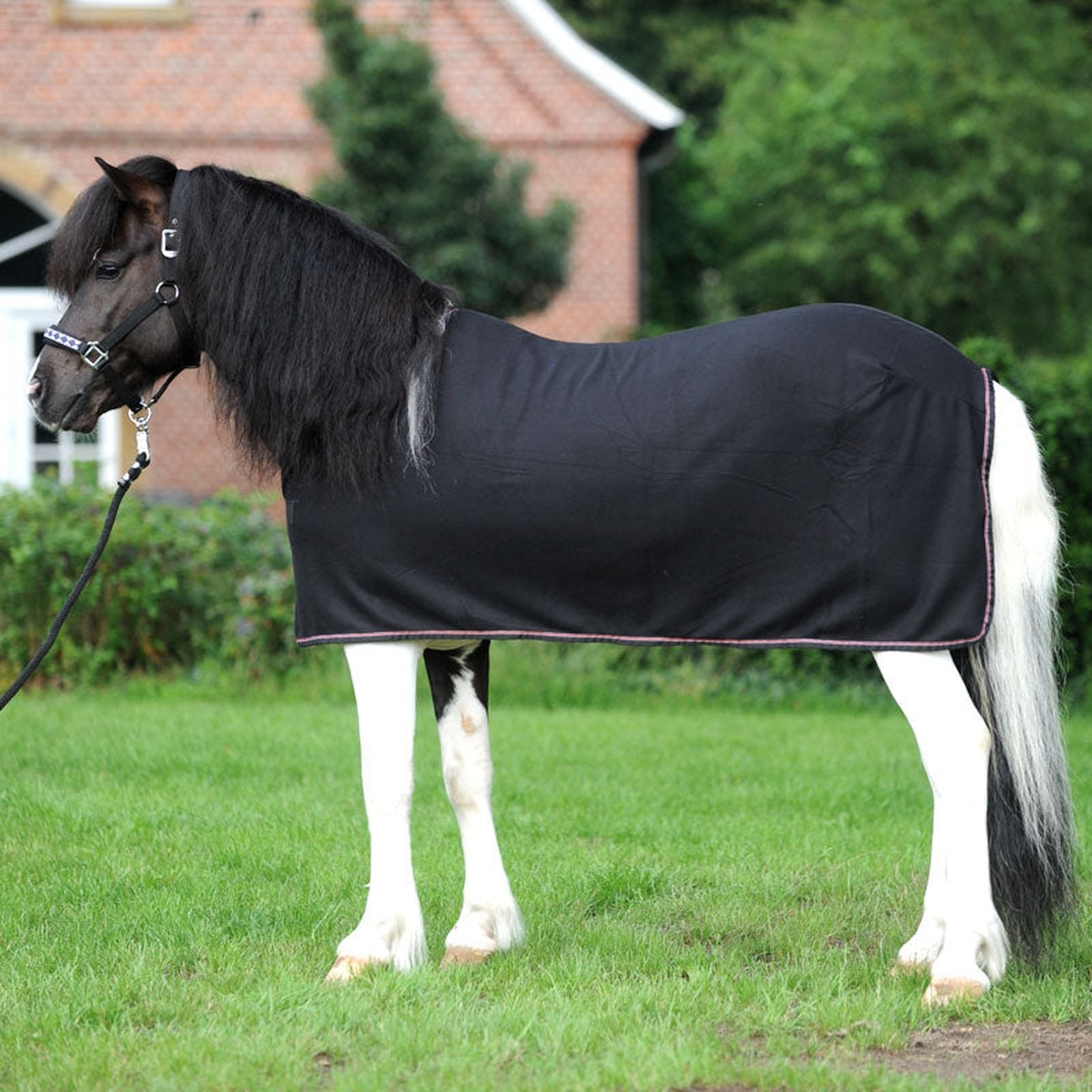 Kavalkade Fleece-Abschwitzdecke Island-Ecoline in schwarz & blau Kavalkade bei SP-Reitsport