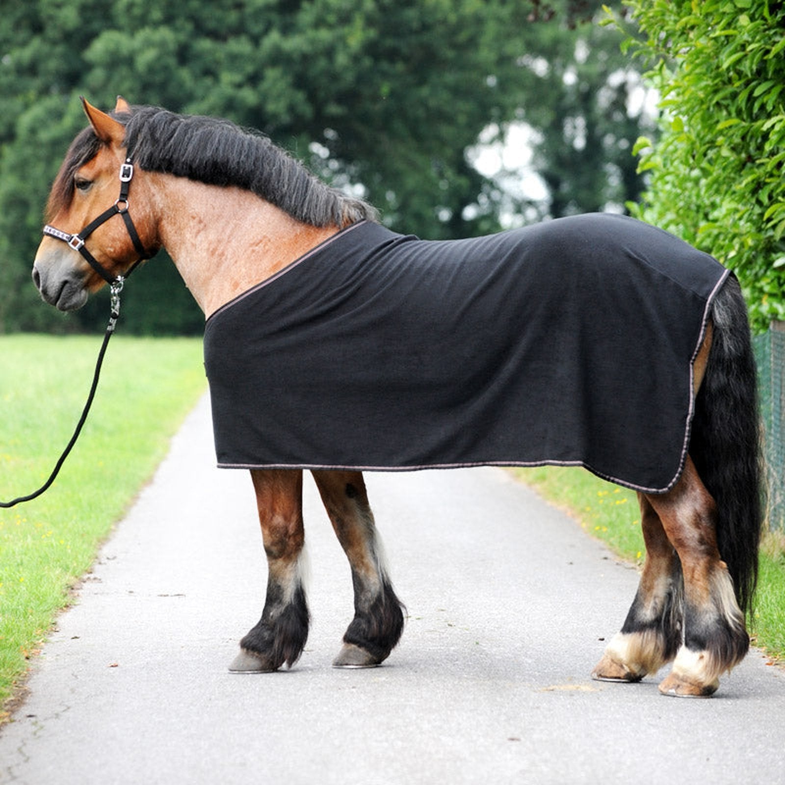 Kavalkade Fleece-Abschwitzdecke Kaltblut Ecoline Kavalkade bei SP-Reitsport