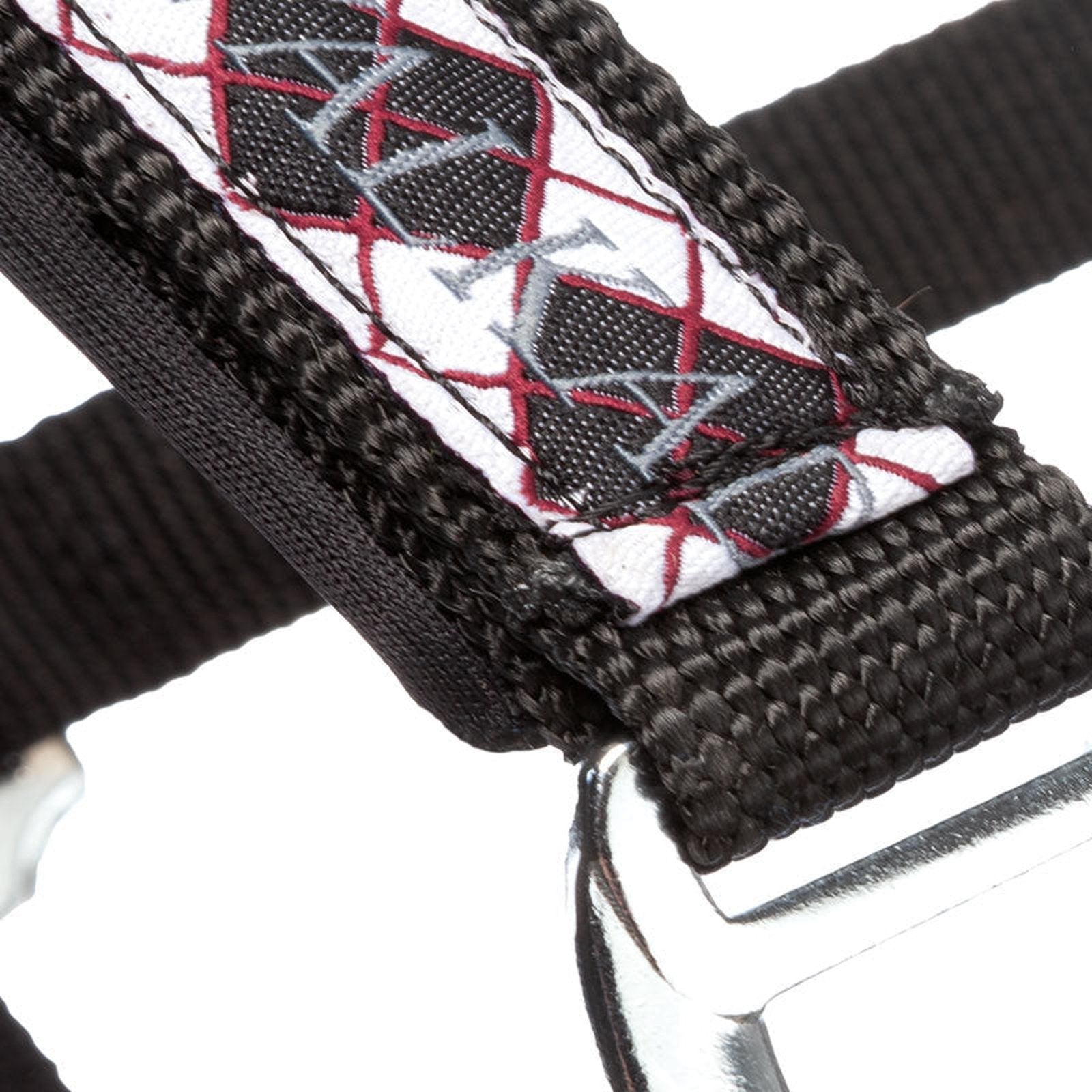 Kavalkade Perlon-Halfter Kaltblut Classic sp-reitsport