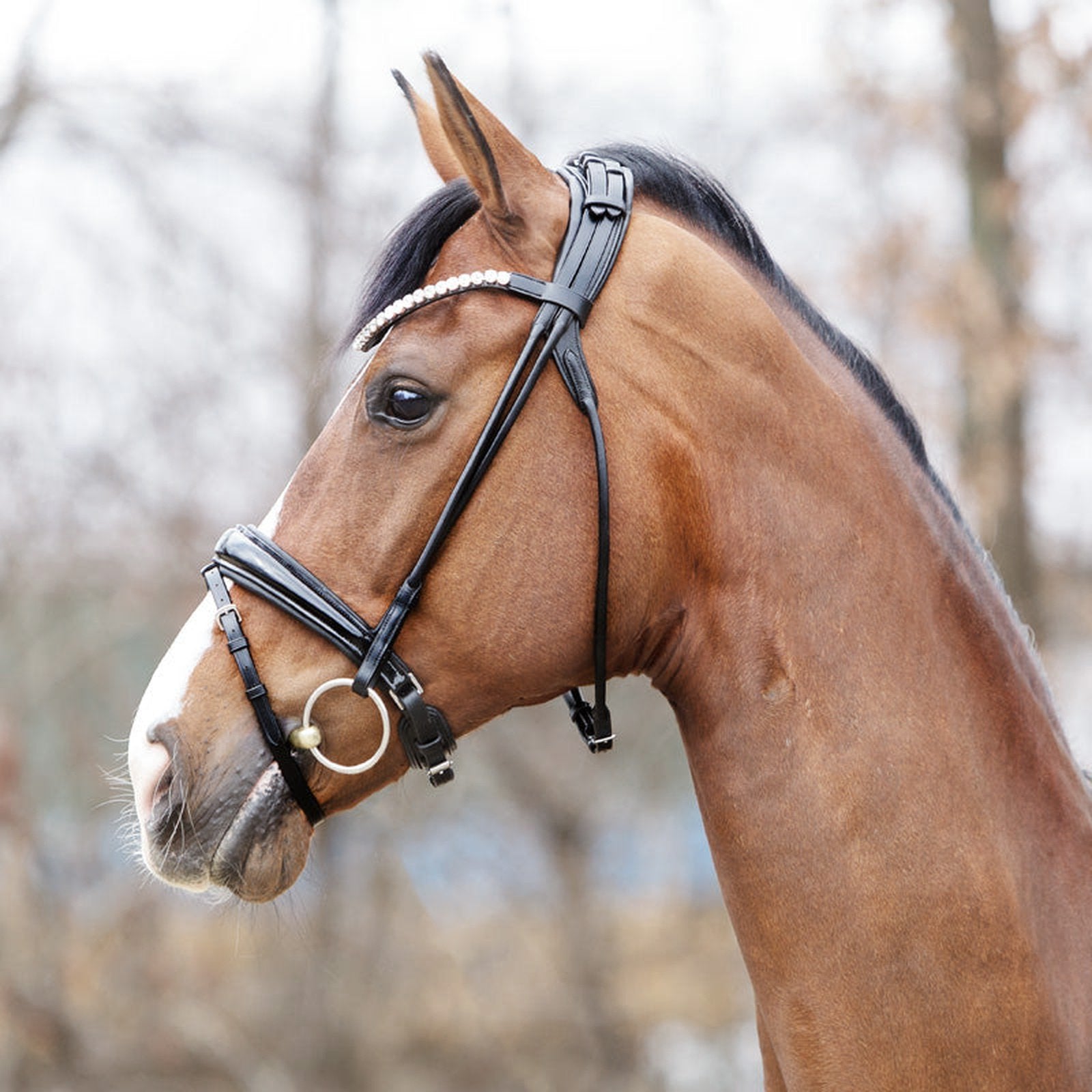 Kavalkade Trense Florina KavalSH4, rundgenäht, schwed.-komb. RH für Vollblut & Warmblut Kavalkade bei SP-Reitsport