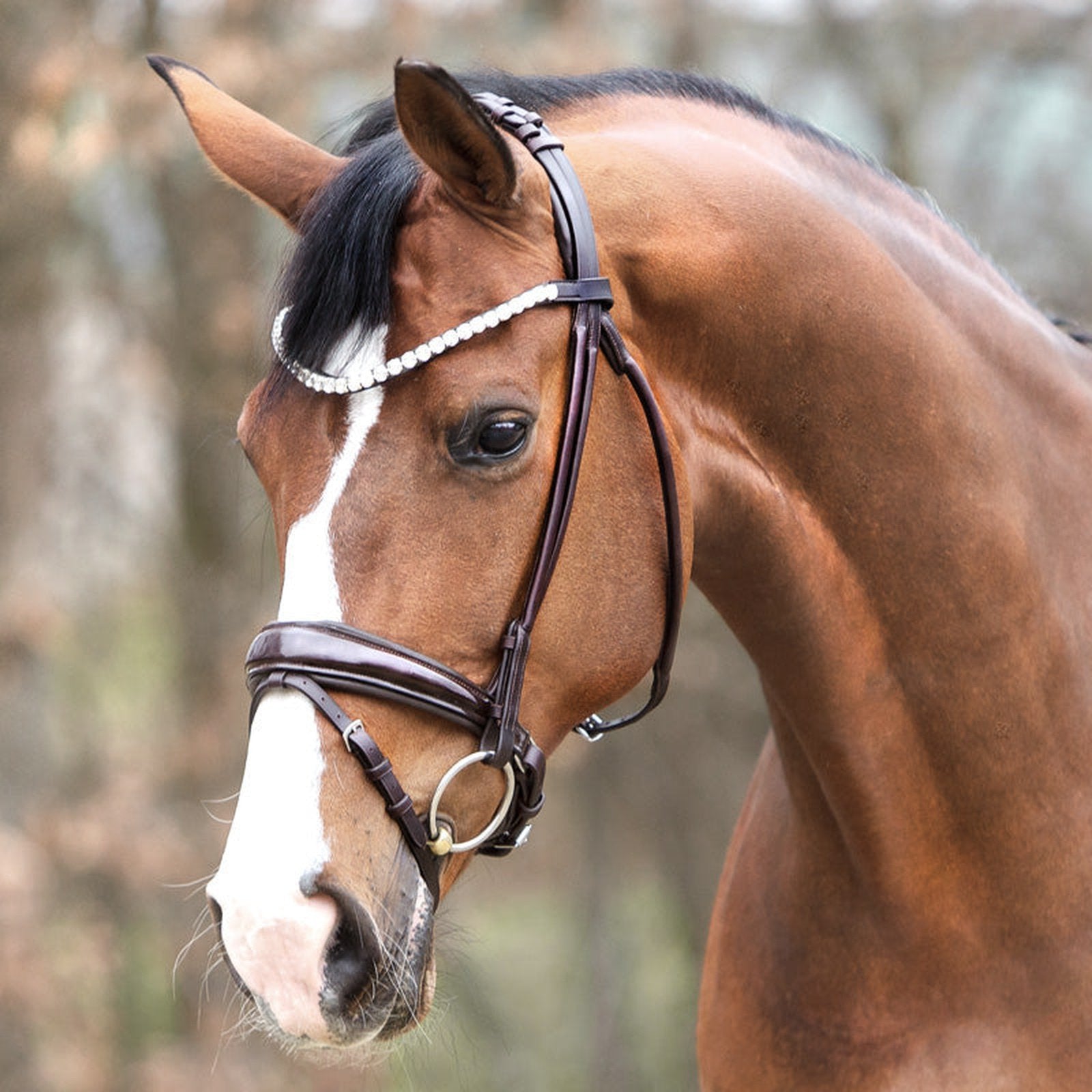 Kavalkade Trense Florina KavalSH4, rundgenäht, schwed.-komb. RH für Vollblut & Warmblut Kavalkade bei SP-Reitsport