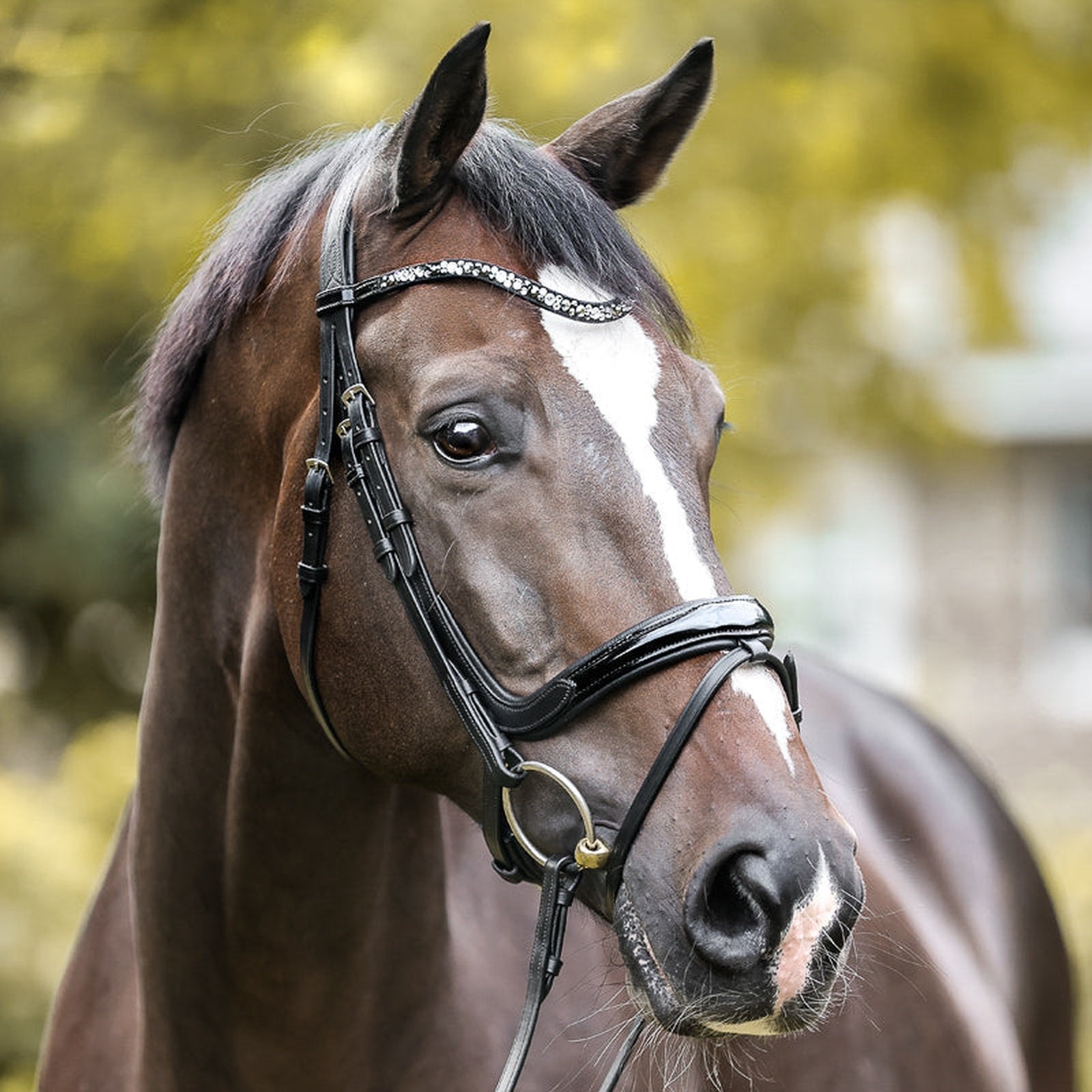 Kavalkade Trense Ivana KavalSH4 , engl.-komb. RH für Pony, Vollblut & Warmblut Kavalkade bei SP-Reitsport