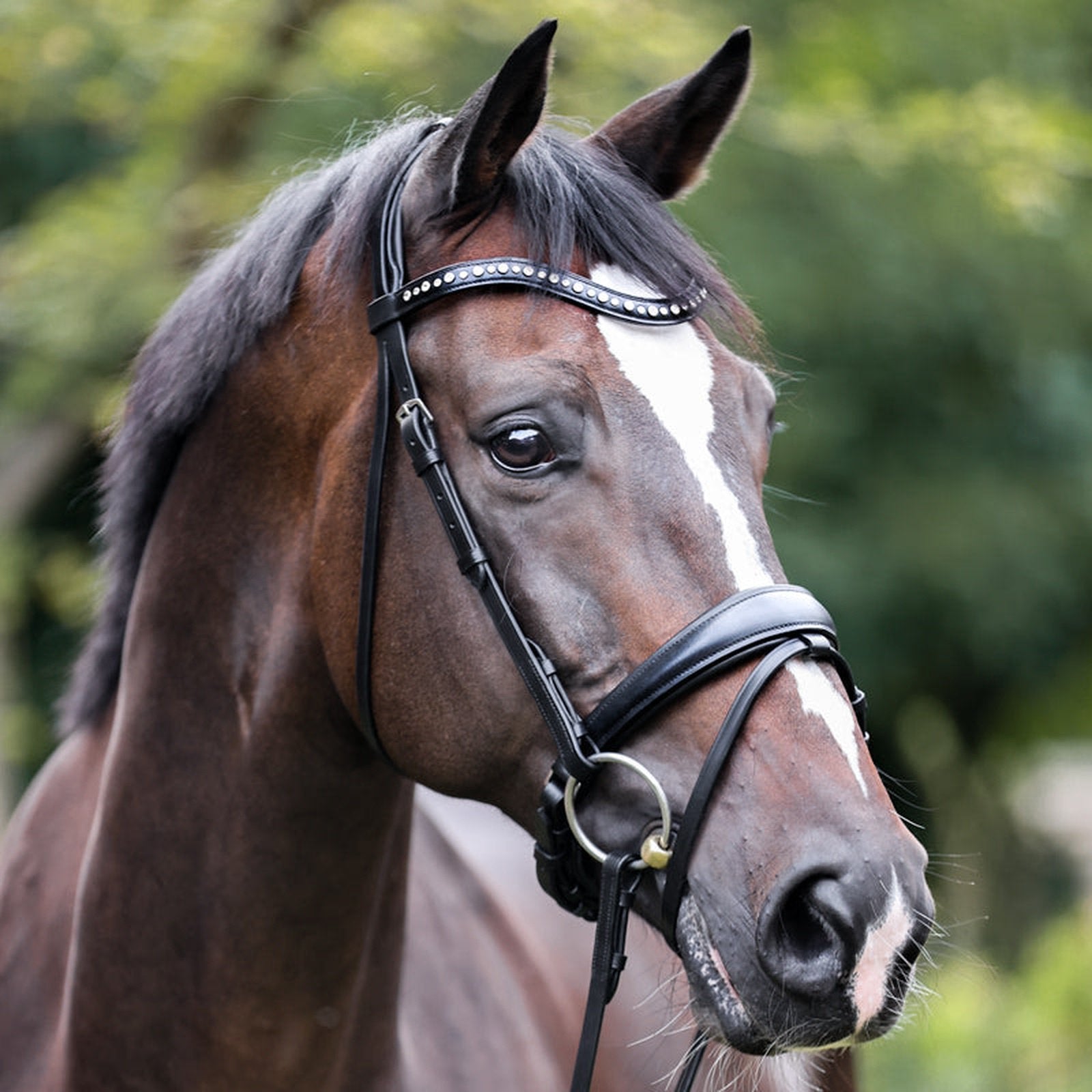 Kavalkade Trense Mia, schwed.-komb. RH für Pony, Vollblut, Warmblut & Kaltblut Kavalkade bei SP-Reitsport